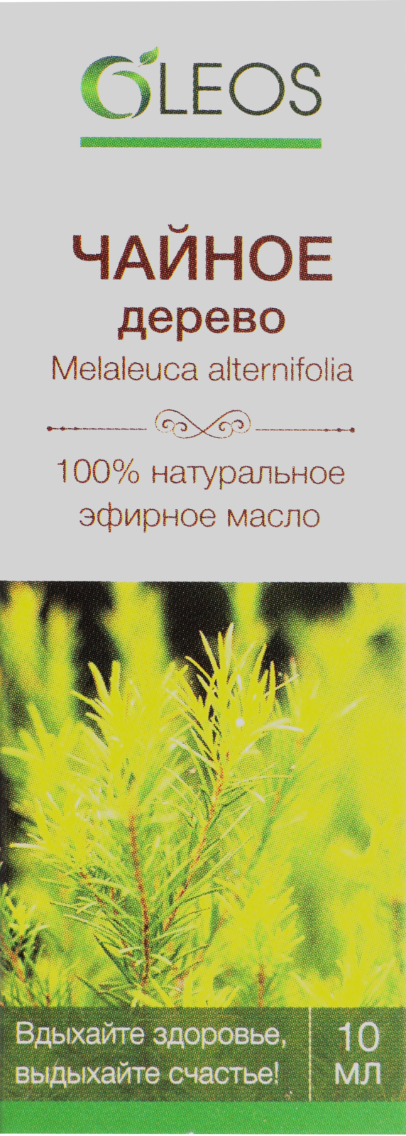 Эфирное масло Oleos чайное дерево 10мл — в каталоге на сайте Магнит  Косметик | Краснодар